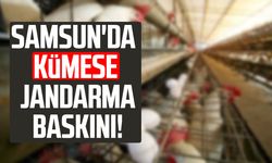 Samsun'da kümese jandarma baskını!
