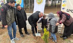 Samsun'da minik eller fidanları toprakla buluşturdu