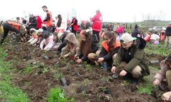 Samsun'da minik eller geleceğe nefes oldu!