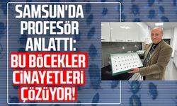 Samsun'da profesör anlattı: Bu böcekler cinayetleri çözüyor