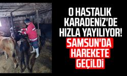 O hastalık Karadeniz'de hızla yayılıyor! Samsun'da harekete geçildi
