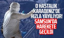 O hastalık Karadeniz'de hızla yayılıyor! Samsun'da harekete geçildi