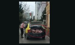 Samsun'da taksinin bagajında taşınan etler hayrete düşürdü!