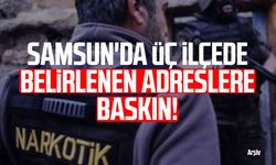 Samsun'da üç ilçede belirlenen adreslere baskın!