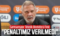Samsunspor T.D. Thorsten Fink: "Penaltımız verilmedi"