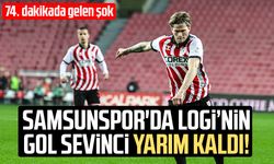 Samsunspor'da Logi Tomasson'un gol sevinci yarım kaldı!