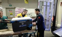 Taciz iddiasıyla gündeme gelmişti! 16 yaşındaki Tuana Samsun'da umut olacak