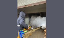 Tarlalarda büyük tehlike! Tekkeköy'de ekipler sahada