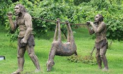 Tekkeköy’de Tarih Öncesinden Günümüze Yerleşim İzleri