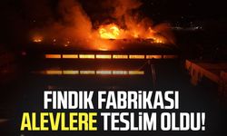 Trabzon'da fındık fabrikası alevlere teslim oldu!