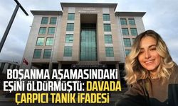 Trabzon'daki Sinem Somun cinayetinde çarpıcı tanık ifadesi