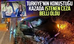 Türkiye'nin konuştuğu kazada istenen ceza belli oldu