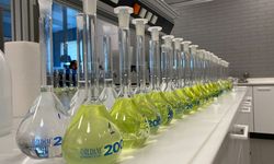 Uluslararası arenada birincilik! Eti Bakır fark yarattı