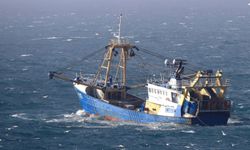 Yakakent’te Balıkçılıktan Sofraya Düzen