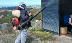 19 Mayıs’ta kokarca seferberliği! Mücadele sürüyor