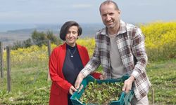 50 metrekareden dünya pazarına! Samsun’da dikkat çeken hikaye