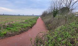 Samsun’da dikkat çeken görüntü! Gören telefonuna sarılıyor