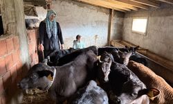 Hem üretiyor hem kazanıyor! Samsun’da örnek girişim