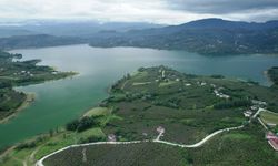 Samsun'da yağışlar can suyu oldu! Barajlarda sevindiren gelişme