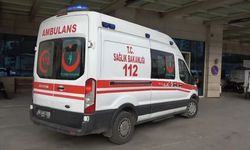 Ağaç budarken kolunu kesen Mehmet Sıddık Mantam hayatını kaybetti