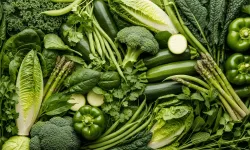 Alaçam’da Kıyı Mutfağında Ot ve Sebzeler