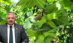 TZOB Yönetim Kurulu Üyesi Arslan Soydan'dan TMO'ya çağrı