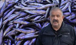 Balık bol, kazanç zor! Samsun'da balıkçılar endişeli