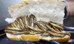 19 mayıs ilçesinde sahil ve tarım ürünlerinin mutfağa etkisi