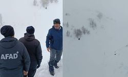 Bülent Gezer 95 gündür kayıp! Karadeniz'de çığ bölgesine hâlâ girilemiyor