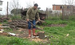“Hacıyım” dedi, kandırdı! Samsun'da 110 koyun bir gecede gitti