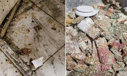 Bunları insanlara yedireceklerdi! Eve giren zabıta gözlerine inanamadı