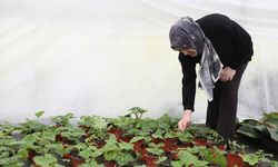 Hayallerini büyüttü! Samsun'da çiçeklerden servet kazandı