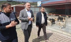 Canik'te can dostlar için örnek tesis! Başkan İbrahim Sandıkçı yerinde inceledi