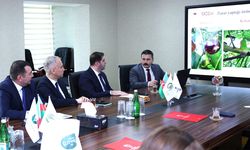 Kahverengi kokarca için uluslararası adım! Samsun devrede