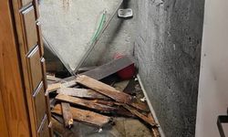 Kış uykusundan uyandılar! Karadeniz'de ayı paniği