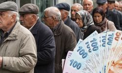 Maaşlar faiziyle geri isteniyor! 245 bin emekli listede