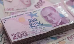 Çiftçilere yaklaşık 1,4 milyar liralık destek ödemesi hesaplara yatıyor