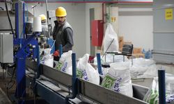 Samsun gübrede kritik rol oynuyor! Küresel krize karşı yerli çözüm