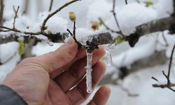 Samsun'a 8 Nisan uyarısı! 11 Nisan'a kadar sürecek