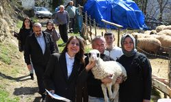 Samsun'da 46 yıllık miras kavgası 28 günde çözüldü