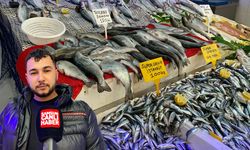 Samsun'da balık bol, fiyat uygun, satış durgun!