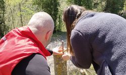 Samsun’da cevizde kaliteyi artıran çalışma