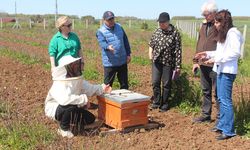 Samsun'da dikkat çeken proje! Doğayı koruyup verimi artıracak