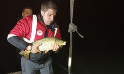 Samsun'da gece yarısı denetim! 60 kilo balık kurtarıldı