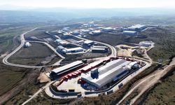 Samsun’da istihdam seferberliği! Rakamlar umut verdi