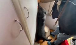 Samsun'da narkotik köpeği Tahra’dan nokta atışı! Zehre geçit yok