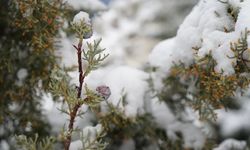 Samsun'da o tarihlerde tehlike büyük! Önemli uyarı