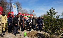 Samsun'da şehit Emre Albayrak’ın adı doğada yaşayacak