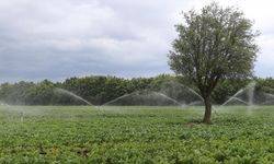 Samsun’da tarım ve hayvancılığa 3 milyarlık dev destek!