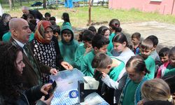 Samsun'da uğur böcekleri doğaya salındı! İşte nedeni